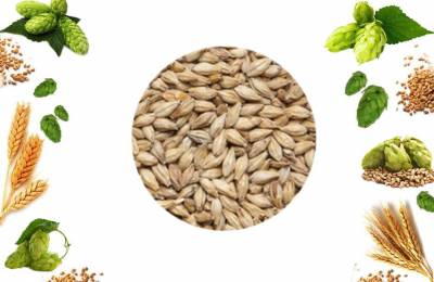 Солод Пшеничный Викинг Мальт 40кг в мешке Ксантос