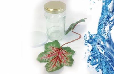 Стеклянные банки оптом купить в Киеве Инжир 180 мл под крышку ТО 53 мм 1