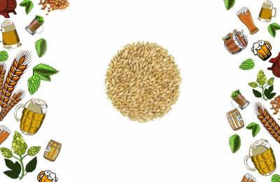 Солод ячменный Копченый Smoked Barley Malt Weyermann Глазго