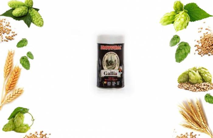 Купити Купити Купить Экстракт охмеленный Brewferm Galilia Belgian Ale 1500г Витим в Україні в Україні