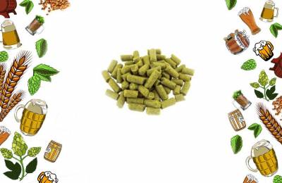 Купить Хмель Perle 1 кг Нурлат