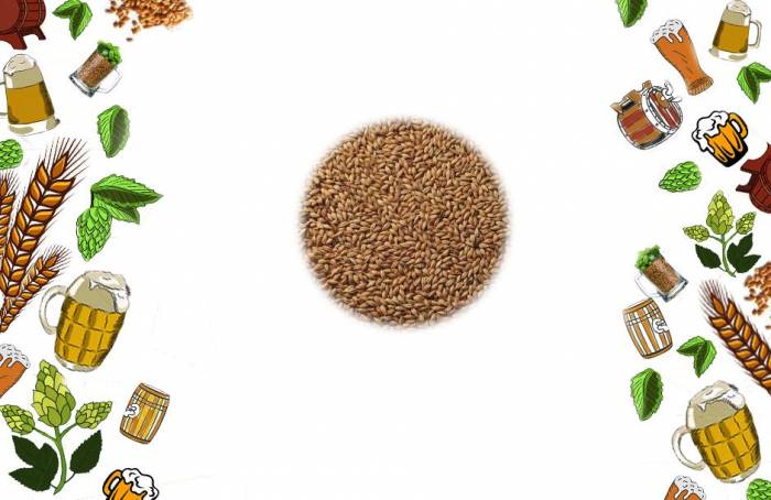 Купити Купити Солод Шато Мюник Castle Malting Драй в Україні в Україні