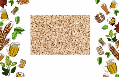 Купить Солод Caramel Pils 1кг Кырен