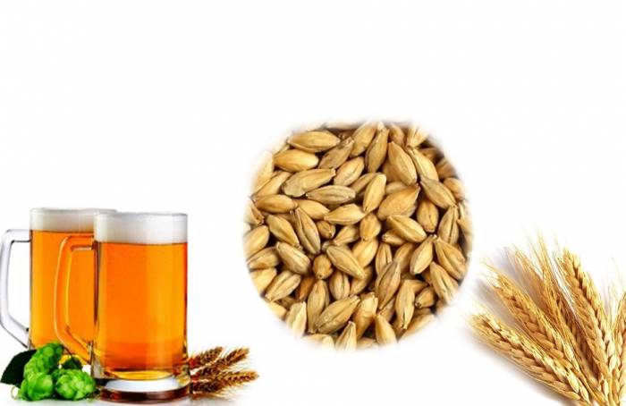 Купити Купити Ячменный солод Pilsner 1 кг Пион в Україні в Україні