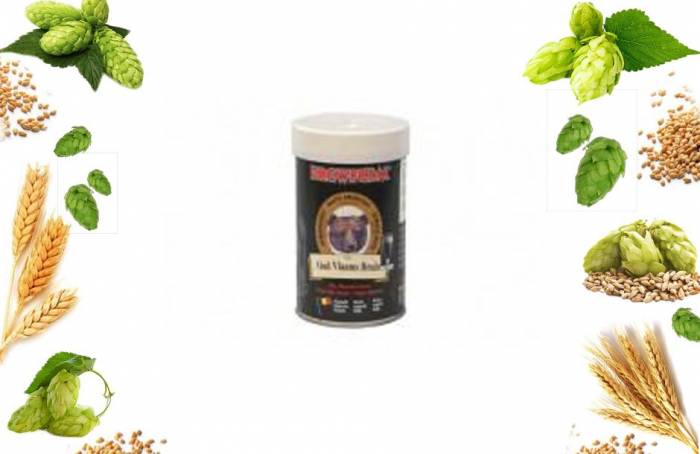 Купити Купити Купить Экстракт охмеленный Brewferm Oud Vlaams Bruin Владивосток в Україні в Україні