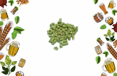 Хмель Мандарина Бавария Mandarina Bavaria урожай 2016 года Германия 50 грамм Шенегер
