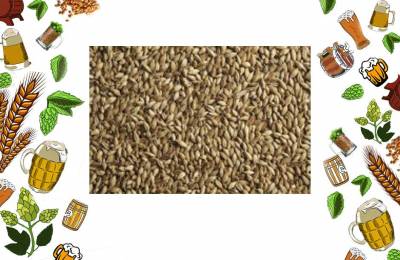 Купить Солод Шато Бисквит 1кг Лабинск