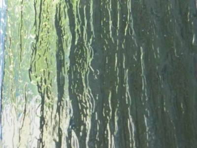 Купить стекло узорчатое кора желтое Аю