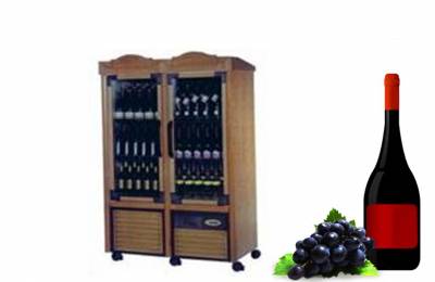 Модель CELLAR 2V