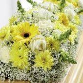 OASIS Readyfix Ракетта с открытой основой и Pini Super Extra KL,4/1брикета