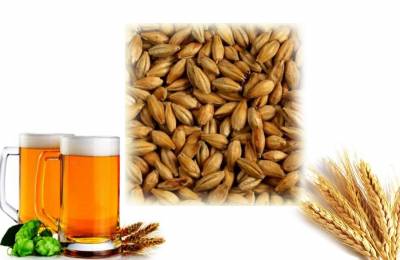 Ячменный солод Мюнхенская классика 1 кг Сирень