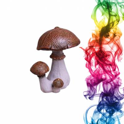 Садовая фигура купить Гриб польский высота 23 см хурма