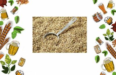 Солод базовый ячменный Swaen Ale Пейл Эль 1 кг Айтери