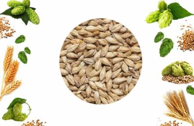 Солод Дак Эль в мешке 25кг Лефтерис